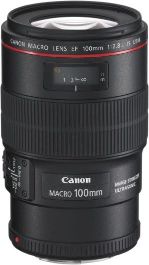 Canon EF 100mm Review: f/2.8L Macro IS USM
