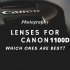 Nikon vs Canon: Which is Best for Beginners? Our Guide